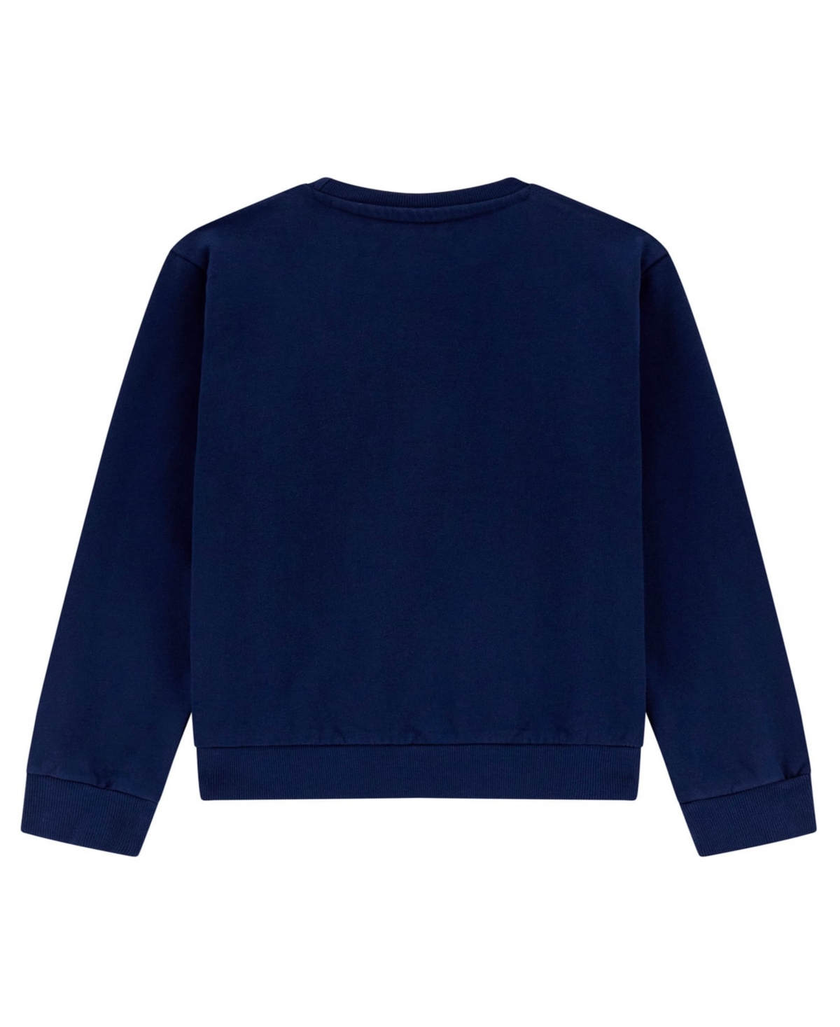 Guess Boys 8-18 Long-sleeve Crewneck Sweatshirt In Blue