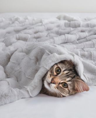 Vivienne Faux Fur Throw, 50" x 60"