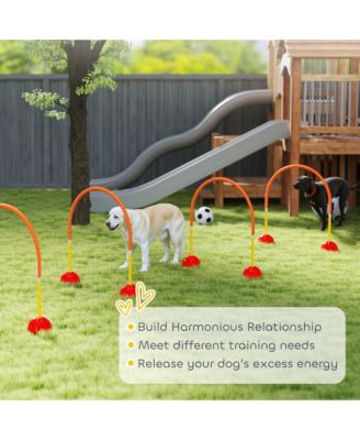 4 Piece Dog Agility Equipment w/ 4 Adjustable Width Doors, Carry Bag