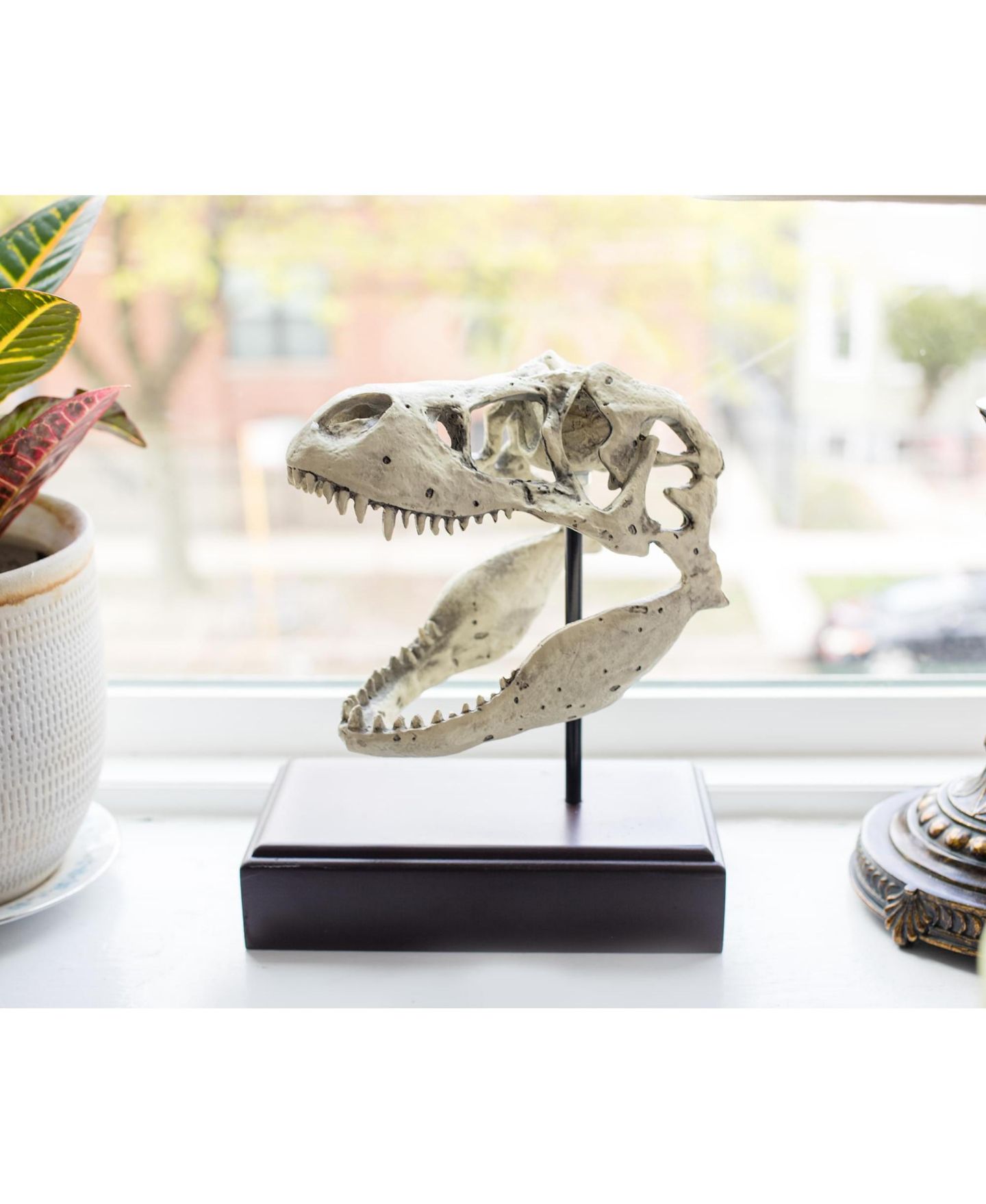 Детские фигурки Surreal Entertainment Jurassic World Tyrannosaurus Rex 9" Skull Replica, цвет: Коричневый — фото 7