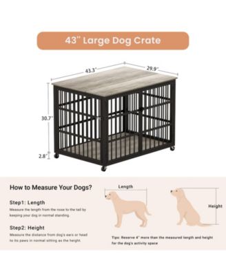 43.3 in. W x 29.9 in. D x 33.5 in. H dog crate wrought iron frame door with side openings in Gray
