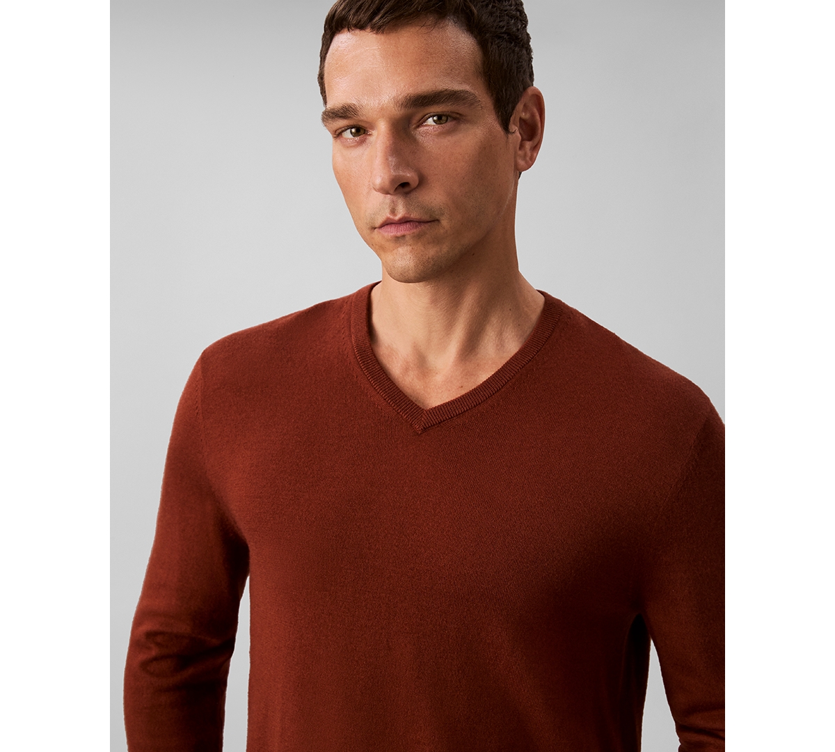 Calvin Klein Men's Merino Wool Blend V-neck Sweater In Brown