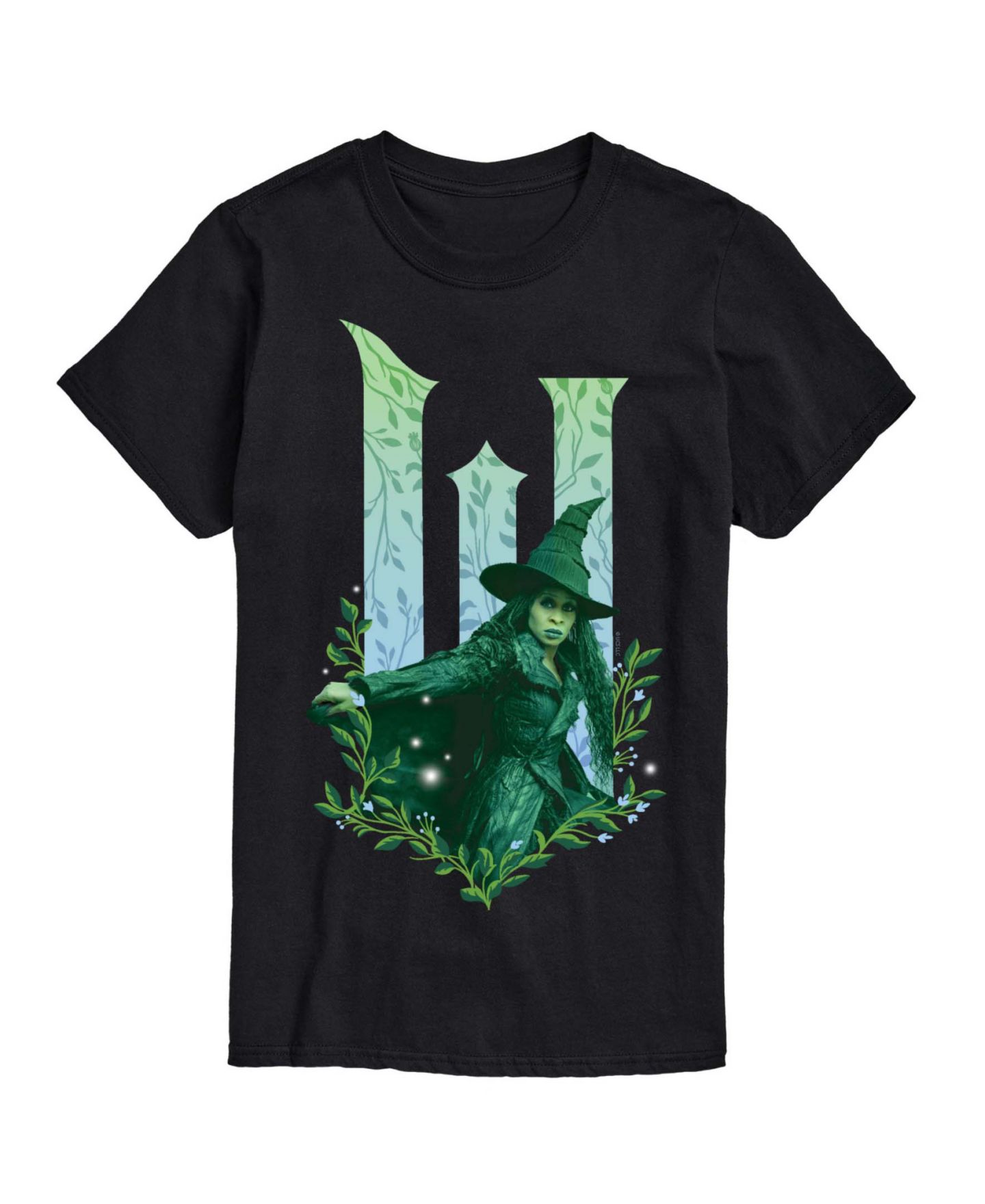 Мужская футболка AIRWAVES Wicked Part 2 Elphie No Good Deed Graphic Printed Short-Sleeve, цвет: Чёрный — фото 1