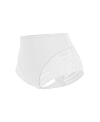 Women's Lace Stripe Undetectable Classic Shaper Panty 012903