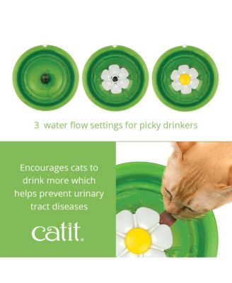 Senses Flower Fountain Set w/ Silicone Placemat and Stainless Bowl SET