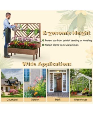 2-Tier Raised Garden Bed with Trellis-Brown