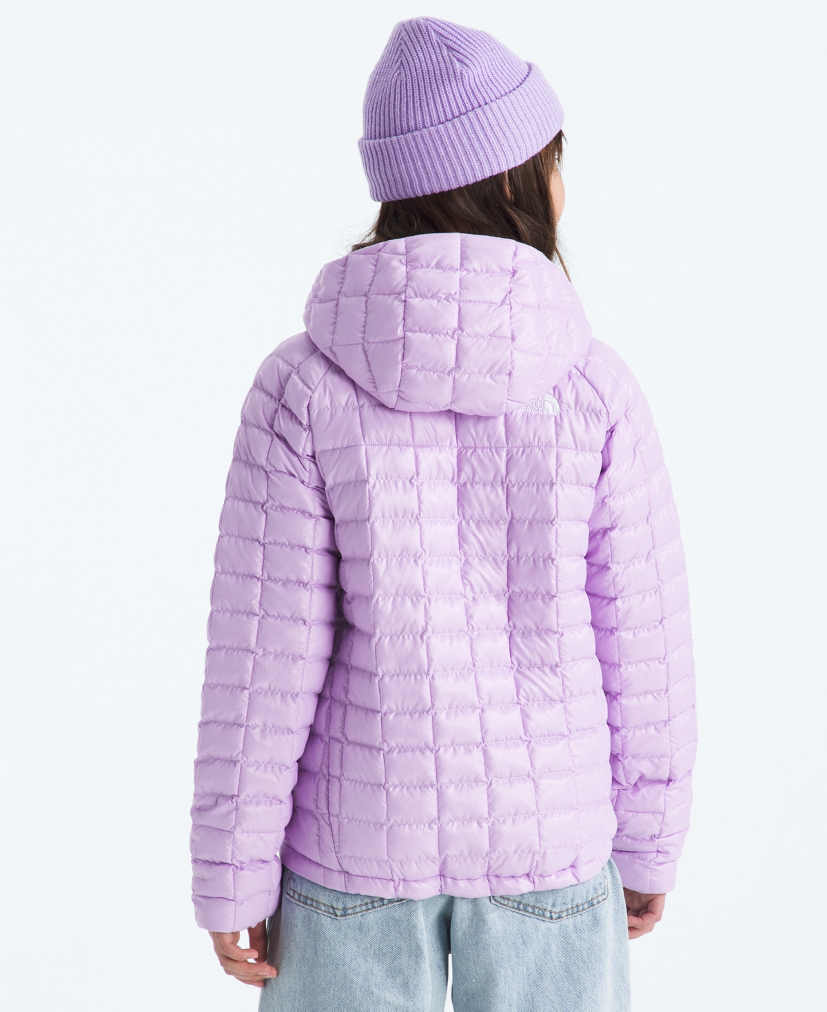 The North Face Boys and Girls Xs-xxl Hooded Zip-Up Jacket