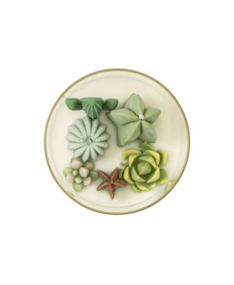 Cactus Terrarium Scented Candle, 14.5 oz