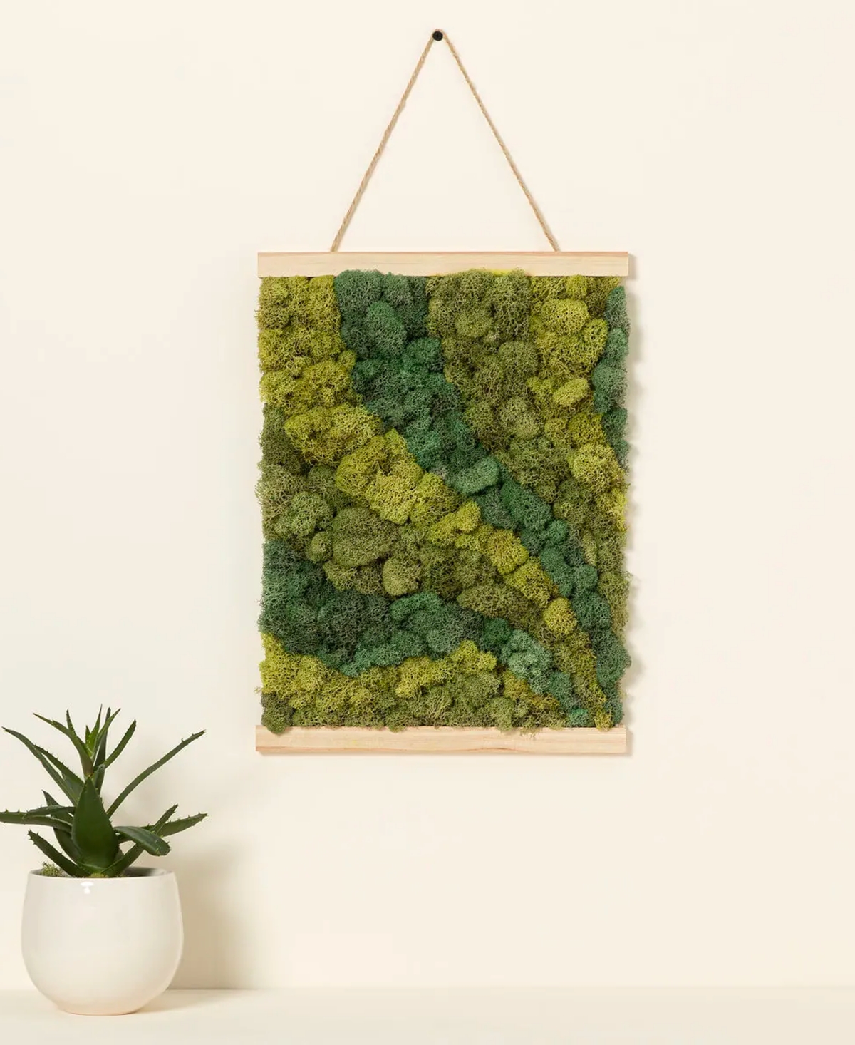 Uncommon Goods Moss Art by Numbers Kit