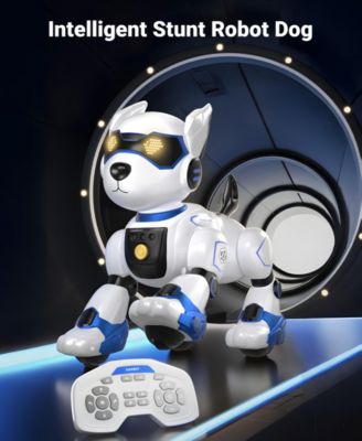 Smart Interactive Robot Dog Toy for Kids with Remote Control, Voice and Touch Features