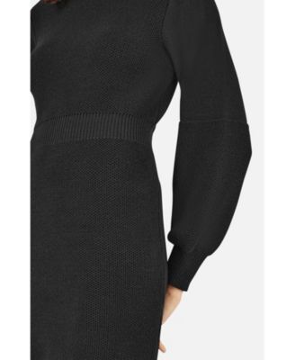 Women's Roll Neck Knitted Dress