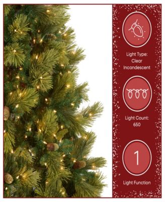 National Tree 6.5' Carolina Pine Tree with 650 Clear Lights