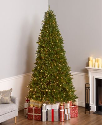 9' Dunhill Fir Full-Bodied & Hinged Tree With 900 Clear Lights