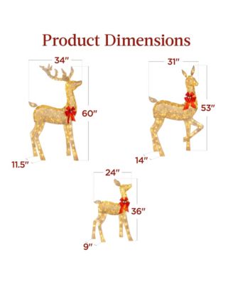 3-Piece Lighted Christmas Deer Set Outdoor Yard Decoration with 360 LED Lights, Stakes