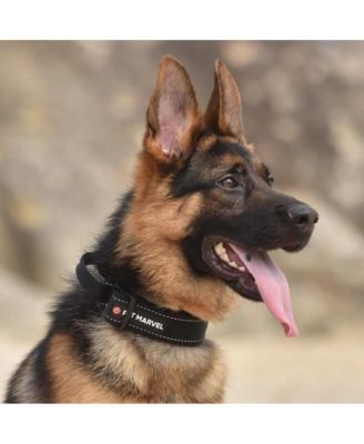 Adjustable Tactical Dog Collar with Control Handle
