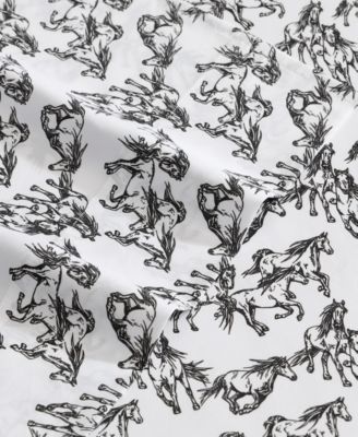 Microfiber 4-Pc. Sheet Set, Queen