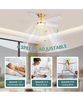 42-inch Modern Golden 5-Blade Ceiling Fan With 6-Speed Adjustable Wind Speed and Light Kit