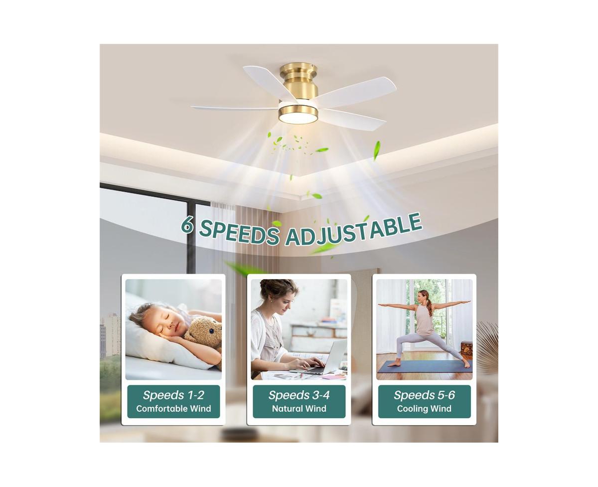 Sofucor 42-inch Modern Golden 5-Blade Ceiling Fan With 6-Speed Adjustable Wind Speed and Light Kit