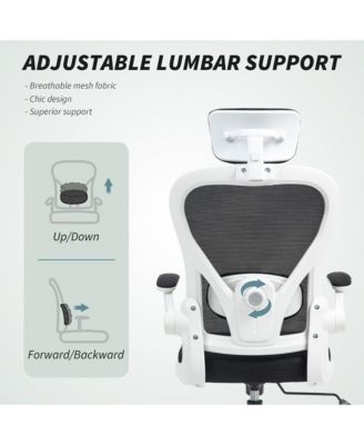Ergonomic Office Chair, Mesh Desk Chair with Lumbar Support,