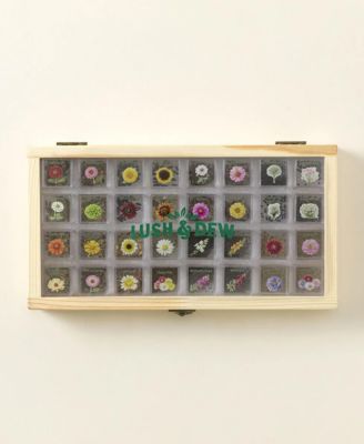 Endless Bouquets Gardener's Seed Bank Set