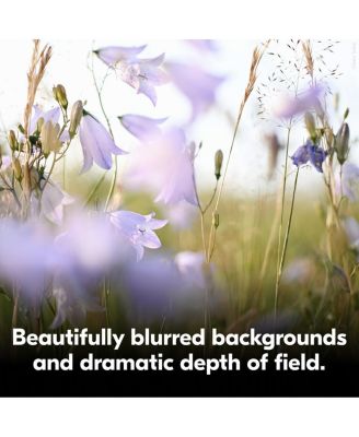 NIKKOR Z DX MC 35mm f/1.7 Lens