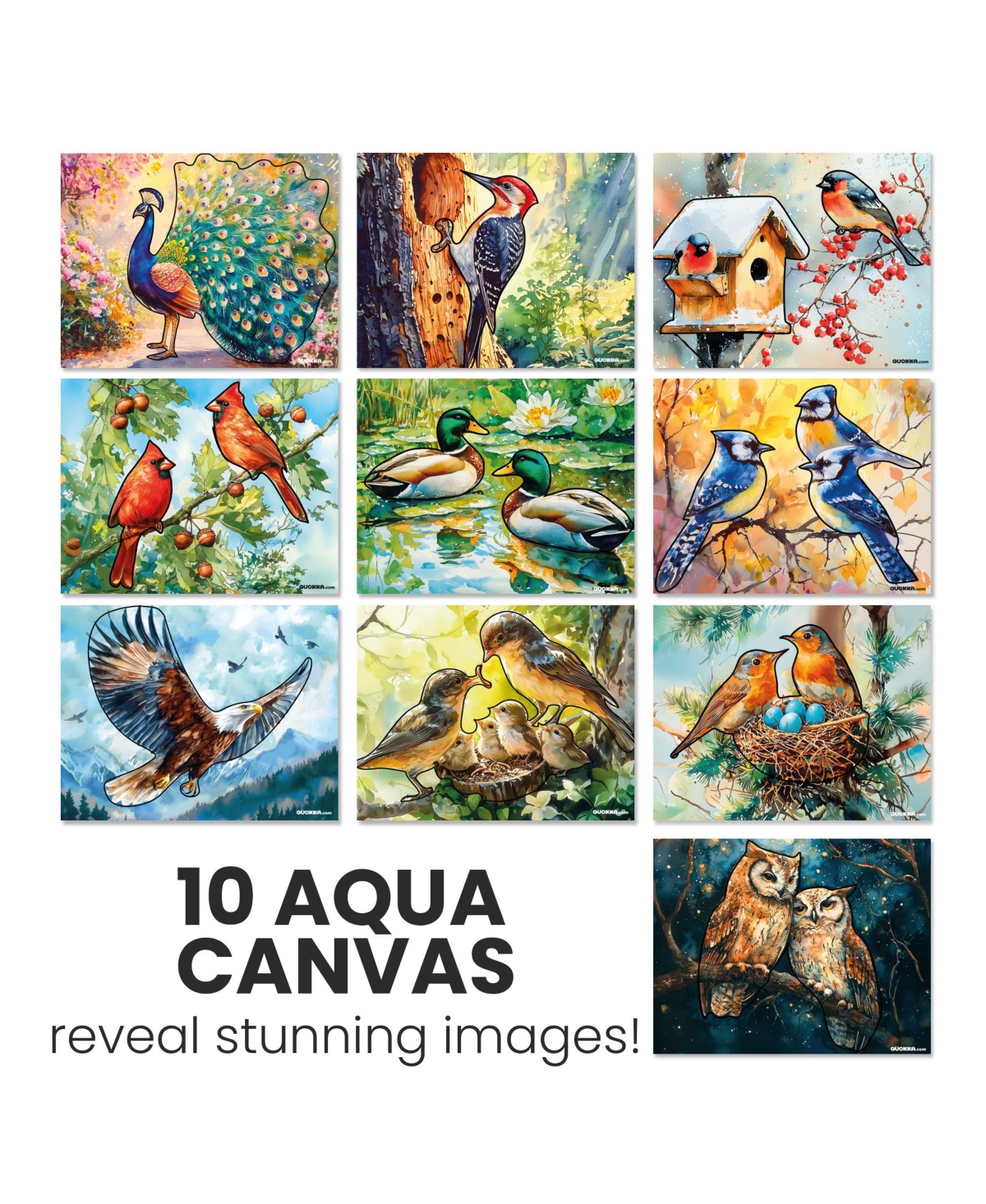 Quokka Water Painting Dementia Activities for Seniors – Songbird Serenity – Alzheimers Products