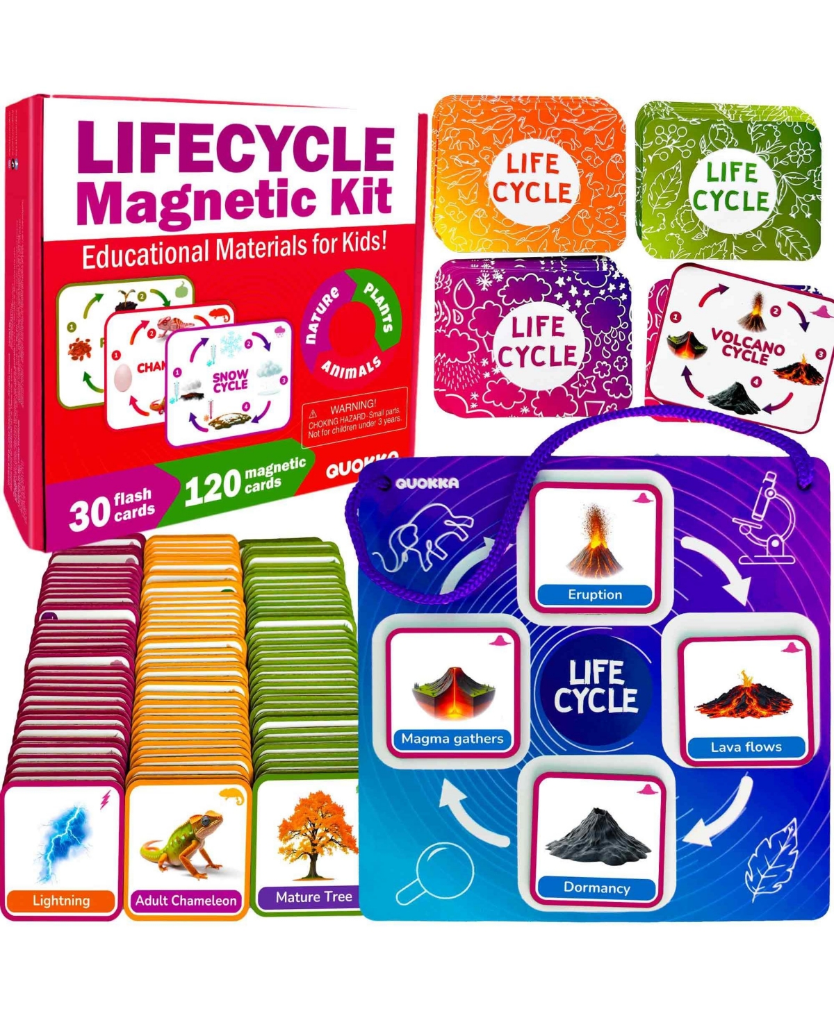 Quokka Life CycleToys for Kids - 30 Flashcards Toddler Science Kit Ages 2-4 - 120 Magnetic Flash Cards