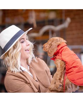 Blueberry Pet Windproof Waterproof Quilted Dog Puffer Jacket with Dual Zipped Leash Opening