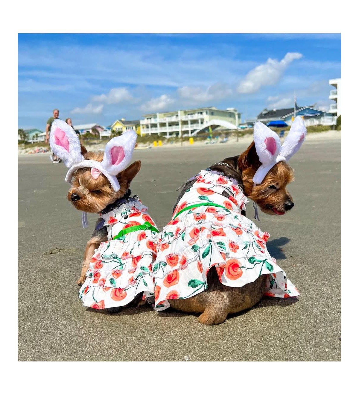 Parisian Pet Red Poppies Boho Dress