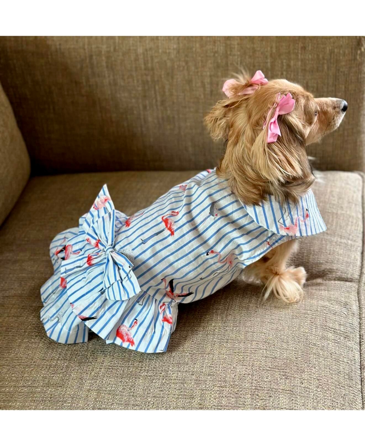 Parisian Pet Flamingo Dress