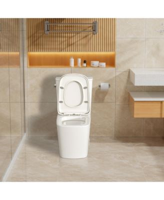 One Piece Modern Elongated Bathroom Fixture,Siphonic Jet,Comfort Chair Height,Soft-Close Seat,Glazed Surface