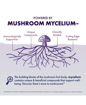 Lion's Mane (120 ct) & Turkey Tail (120 ct)