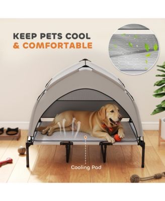 Elevated Dog Bed, Portable Raised Pet Bed with Canopy, Bag, 42"L