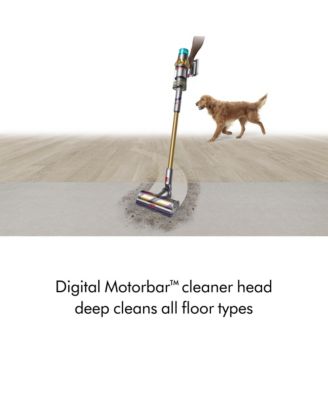 V15 Detect Absolute Cordless Vacuum