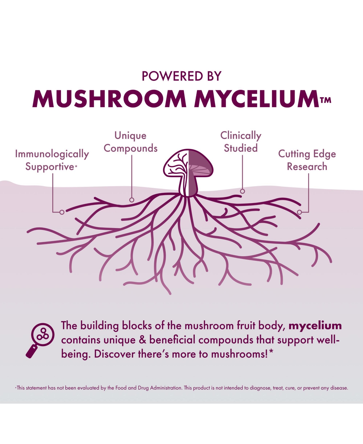 Host Defense Turkey Tail Capsules, 240 ct (Pack of Two 120 ct Units)