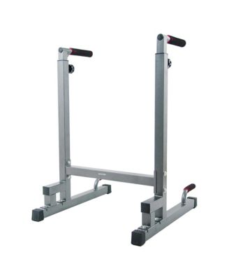 BalanceFrom Multi Function Home Gym Exercise Dip Stand, 500lb Capacity, Gray