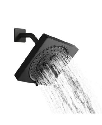 Moen Replacement Shower head