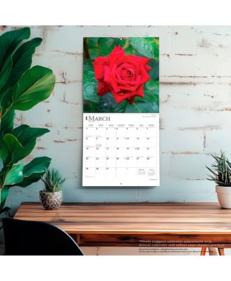 Roses | 2026 12 x 24 Inch (Hanging) Monthly Square Wall Calendar | Plastic-Free