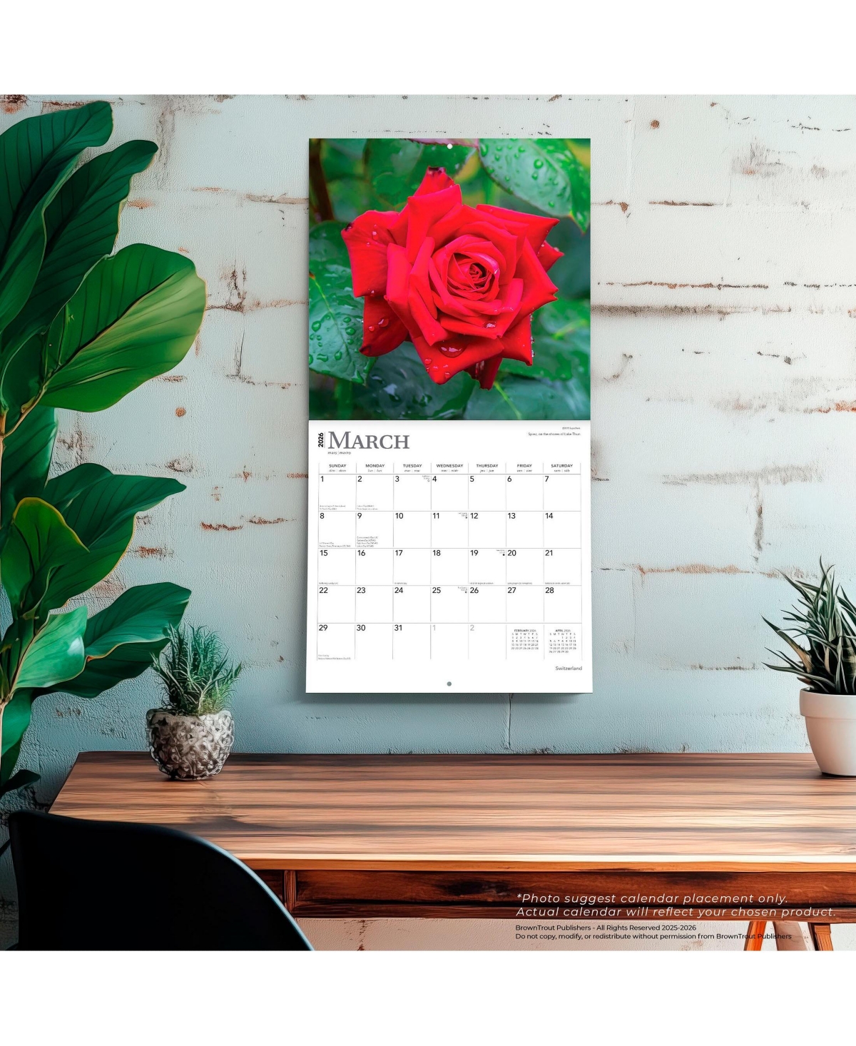 Roses | 2026 12 x 24 Inch (Hanging) Monthly Square Wall Calendar | Plastic-Free