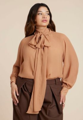Women's Sheer Neck Tie Blouse