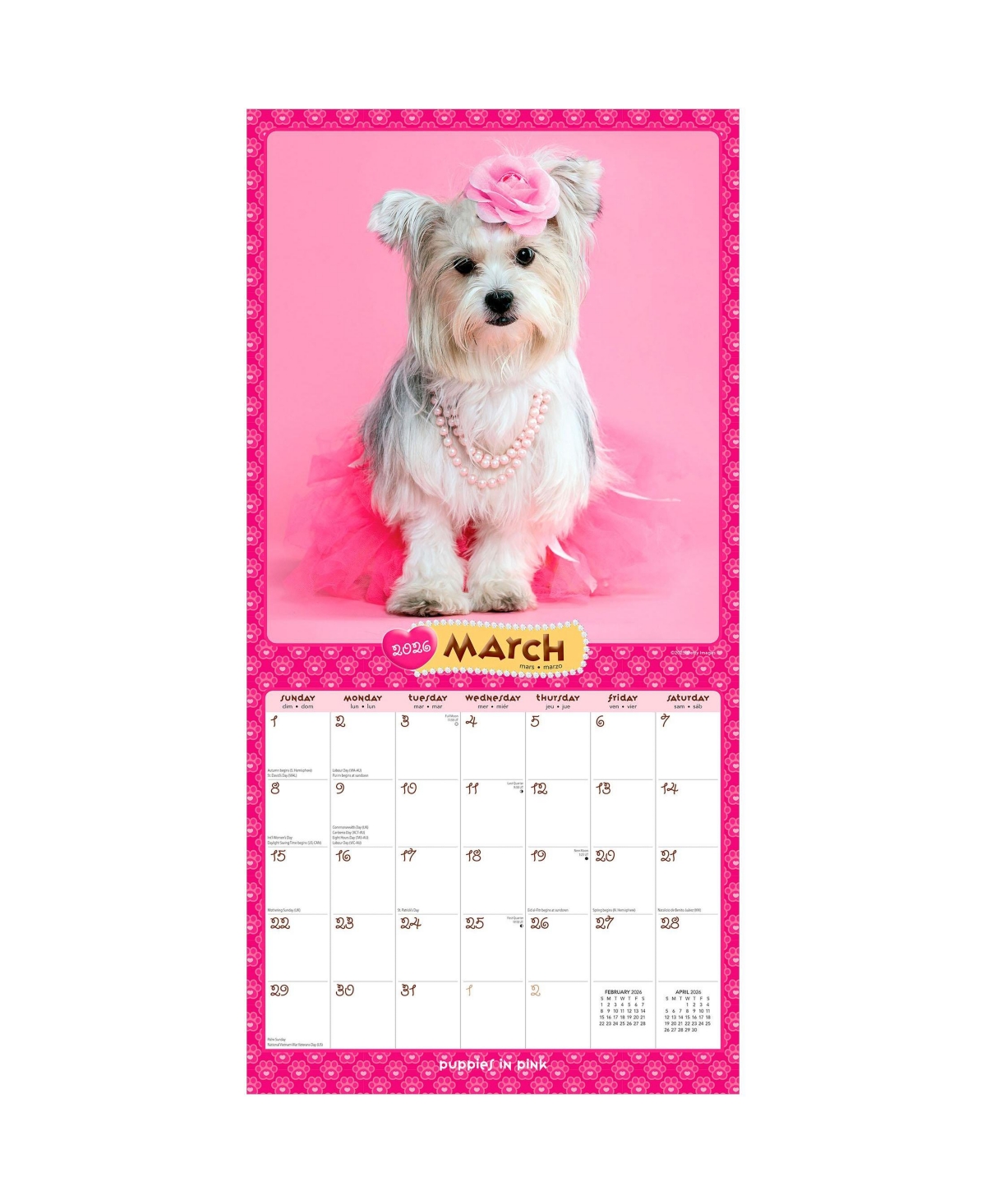 BrownTrout Puppies in Pink | 2026 12 x 24 Inch (Hanging) Monthly Square Wall Calendar | Plastic-Free