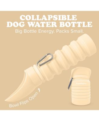 Collapsible Dog Water Bottle