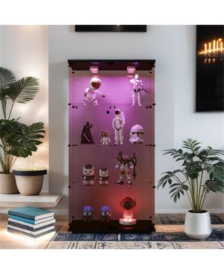 Lighted Glass Cabinet Display with Shelves