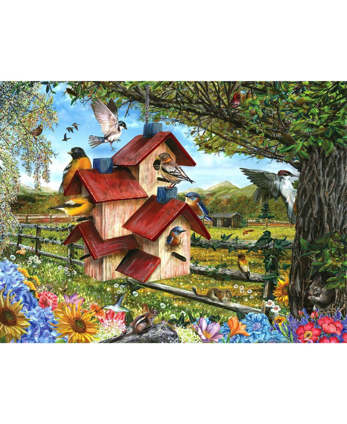 SunsOut Bird Condo 300 piece Jigsaw Puzzle for Adults