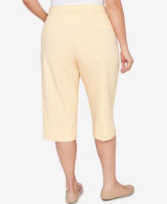 Plus Size Classic Pastel Millenium Allure Clamdigger Pants