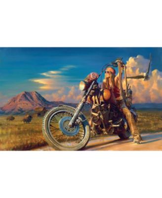Free Spirit 1000 piece Jigsaw Puzzle for Adults