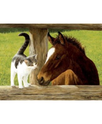 A Whiskery Hello 500 piece Jigsaw Puzzle for Adults