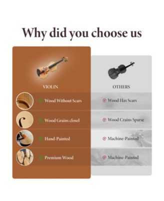 Beginner Violin Full Size 4/4 Solid Wood Full Set with Carry Case Mute Bow Shoulder Rest for Student Adults Starter Unique Peacock