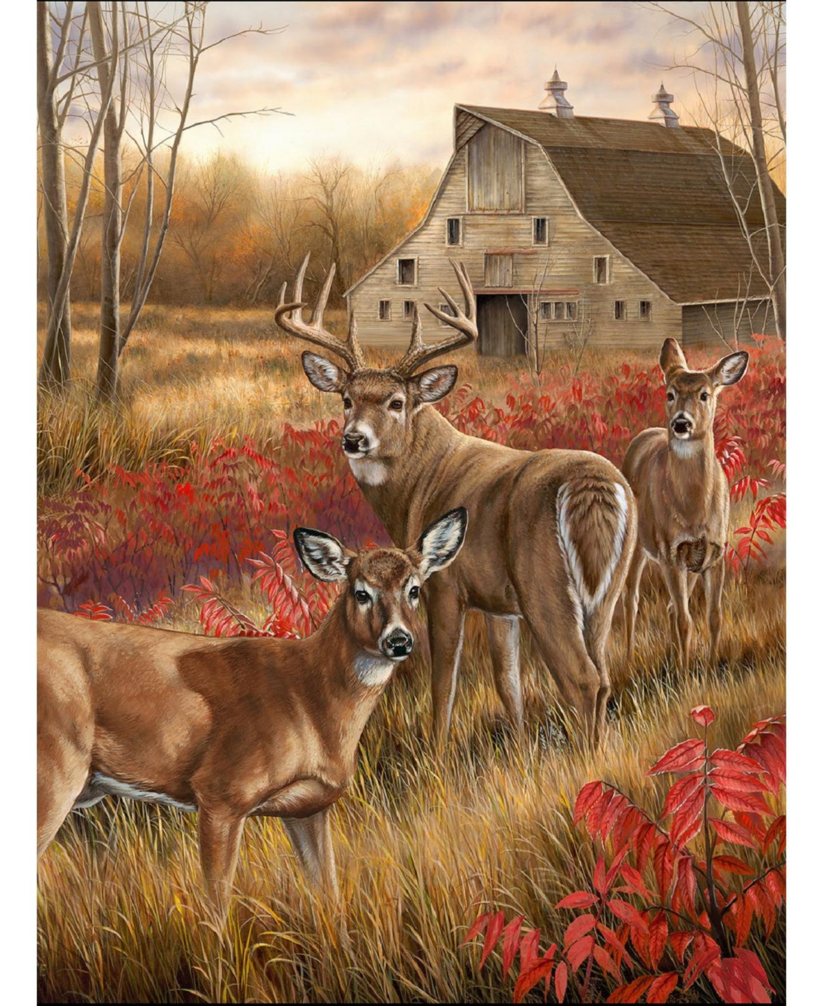 SunsOut Among the Shadows 1000 piece Jigsaw Puzzle for Adults