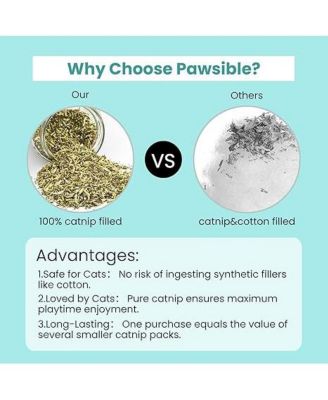 5 Pack Cactus Catnip Toys, 100% Organic Catnip Toys for Indoor Cats, Interactive Plush Chew Fun Without Cotton,